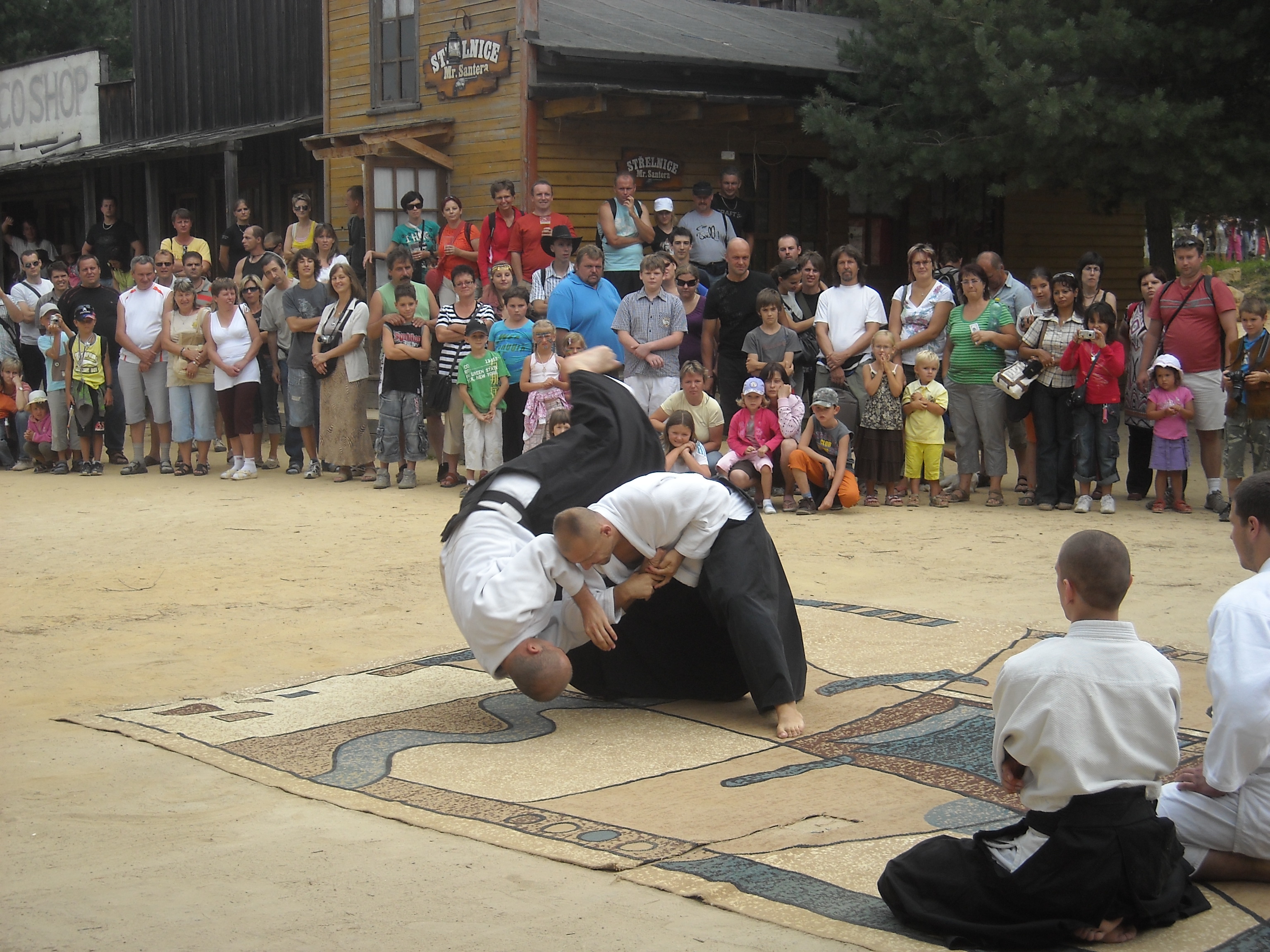 C-UkazkyBoskovice2009 (13).JPG